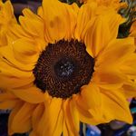 Megan Driver - @beergrl1 - Instagram