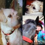 Megandryden - @megandryden9 - Instagram