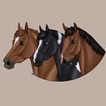Megan Duval - @mjdh.equestrian - Instagram