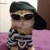 megan :) - @meganeads1 - TikTok