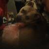 megan eads - @megan.rose.eads - TikTok