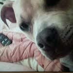 MeganEads5602 - @meganeads5602 - Instagram