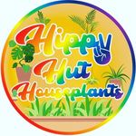 Megan Earls - @hippyhuthouseplants - Instagram