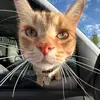 Megannnnnn - @meg.eberle - TikTok