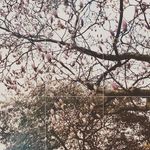 Megan.Emerson.Films - @megan.e_films - Instagram