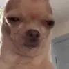 Meg - @megan.fallon - TikTok
