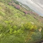 Megan Fallon - @meganfallon776 - Instagram