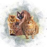 Megan Fitzpatrick - @fitzpatrick.megan - Instagram