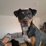 Megan Jane Fitzpatrick - @megan.fitzpatrick - Instagram