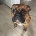 Meaghan Gignac - Facebook
