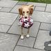Megan Goldsmith - Facebook