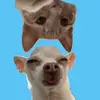 Meg • Mare • Max - @megangooch7 - TikTok
