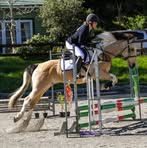 Megan Goodall - Facebook