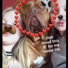 Megan Guild  - @unicorn_10_xoxo - TikTok