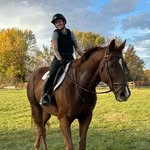 Megan Haddock - @look.tothe.cookie - Instagram