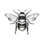 Megan Hammon - @honeybeesandpearls - Instagram