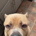 Megan Helm - Facebook