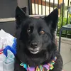 meganholstein22 - @meganholstein22 - TikTok