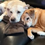 Megan Hopper - @mhopper87 - Instagram