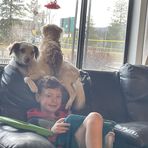 Megan Horner - Facebook
