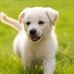 Megan Inskip - Facebook