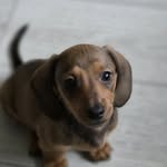 Megan Jacques - @megan.jacques.5264 - Instagram