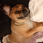 Megan Kenealy - @malaikaandme - Instagram