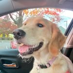 Megan Keyes - @keyesmeg - Instagram