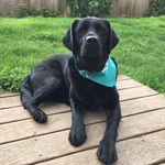 Megan Keyes - @megan.keyes - Instagram