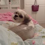 Megan Kienzle Douglas - @bella_boo_boo_28 - Instagram