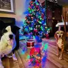 meg klop - @meg.klop1234 - TikTok