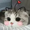 megankula508 - @megankula508 - TikTok