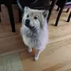 Megan LaBarge - @megan.labarge - TikTok