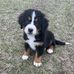 Meagan Lanham - Facebook