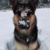 Megan Lanham - Facebook
