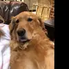 Megan - @meganleake843 - TikTok