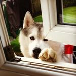 Megan_longley_07 - @meganlongley16 - Instagram