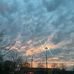 Megan Maciel - Facebook