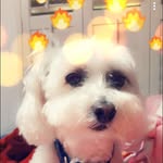 Megan Malik - @meganmalik6305 - Instagram