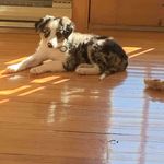 megan martel - @meggy.martel - Instagram