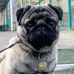 Меган - @megan_martel_xo - Instagram