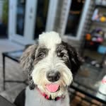 Megan McCaslin - @megan_mcc22 - Instagram