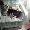 meganmcelroy - @meganmcelroy - TikTok