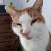 Megan Marie - @meganmcinnes90210 - TikTok