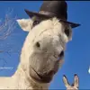 Megang - @megan.mcinnes - TikTok