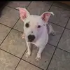 Megan McQueen - @meganmcqueen48 - TikTok