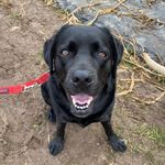 Megan McRae - @thecutestpuppymegan - Instagram