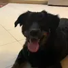 MeganMerrell97 - @meganmerrell97 - TikTok