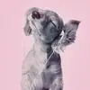 m - @megannmora - TikTok