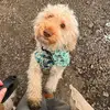 meganneale457 - @meganneale457 - TikTok